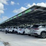 Car rental companies experience record season