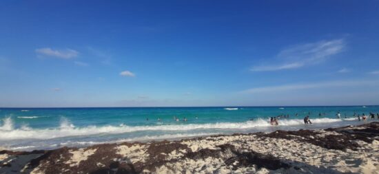 Optimism in Tulum in the face of the notable decrease in sargassum