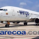 Wingo sets its sights on Punta Cana: increases its capacity by 75% - Tourism news