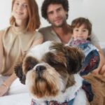 Meliá presents a new “Pet Friendly” program for its hotels in the Dominican Republic - Tourism News