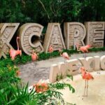 Xcaret will suspend operations on Friday due to Hurricane Beryl