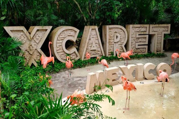 Xcaret will suspend operations on Friday due to Hurricane Beryl