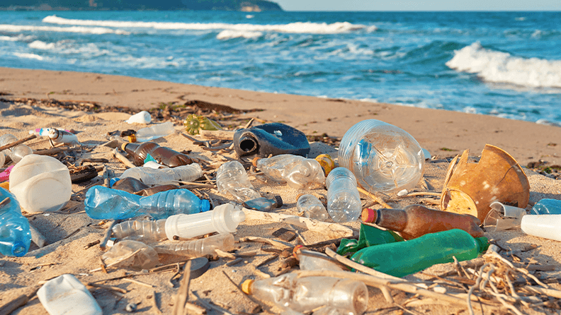 Elimination of plastics, Mitur's priority for the tourist development of Pedernales - Tourism news